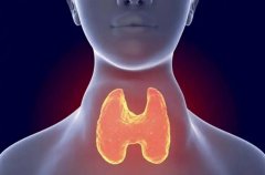 ��״�ٽ���ܲ�������������©��